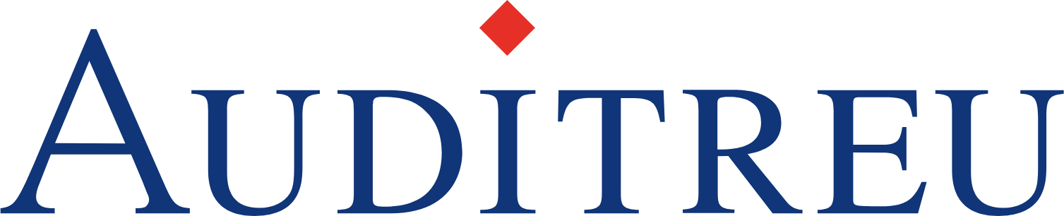 Auditreu Steuerberatung